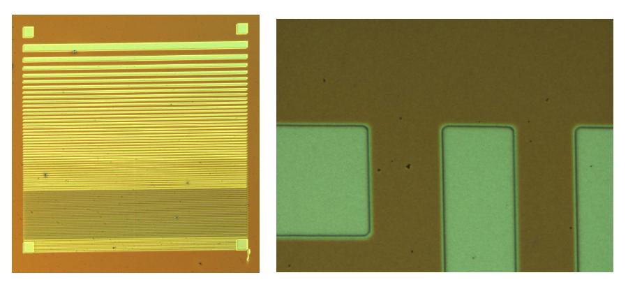 Digital images of the Fresnel lens pattern after lithography.