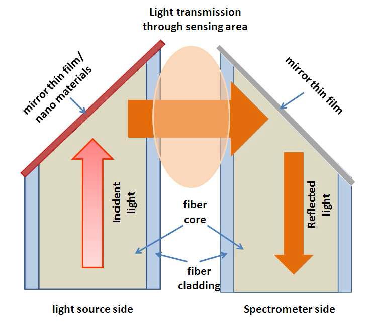 Schematic diagram of an optical fiber probe and signal path for neural sensing in the brain.