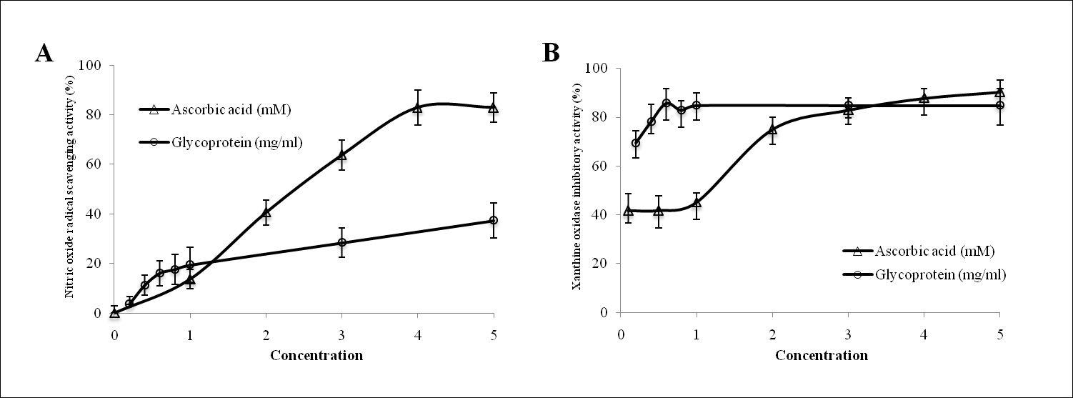 Xanthine oxidase inhibition activity and nitric oxide radical scavengingassay of glycoprotein extracted from S. japonica.