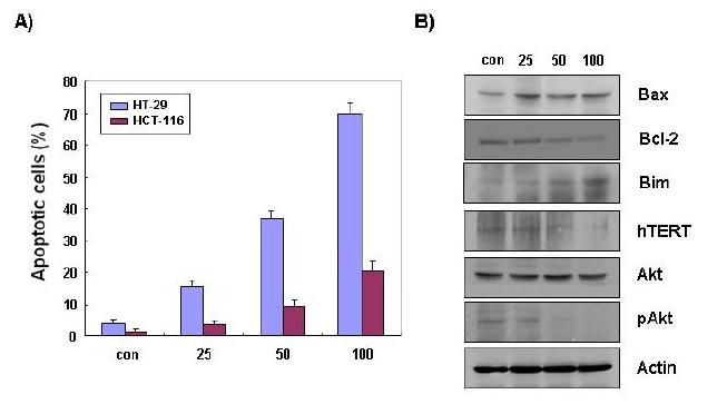 Pro-apoptotic activity of LJGP and effects of LJGP on the expression of Bcl-2 family members, hTERT and PI3K/Akt proteins in HCT-116 and HT-29 human colon cancer cells