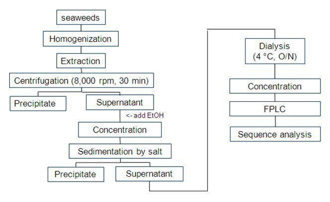 Establish extract conditions of biofunctional glycoprotein (Step 1)