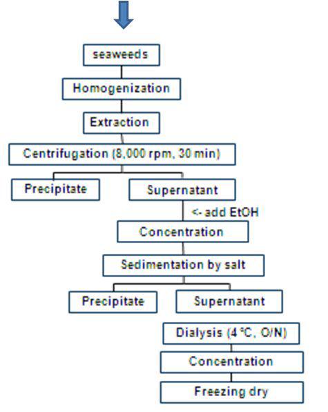 Establish extract conditions of biofunctional glycoprotein (Step 2)