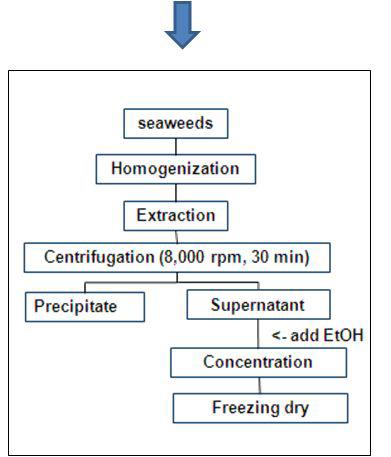 Establish extract conditions of biofunctional glycoprotein (Pilot plant)