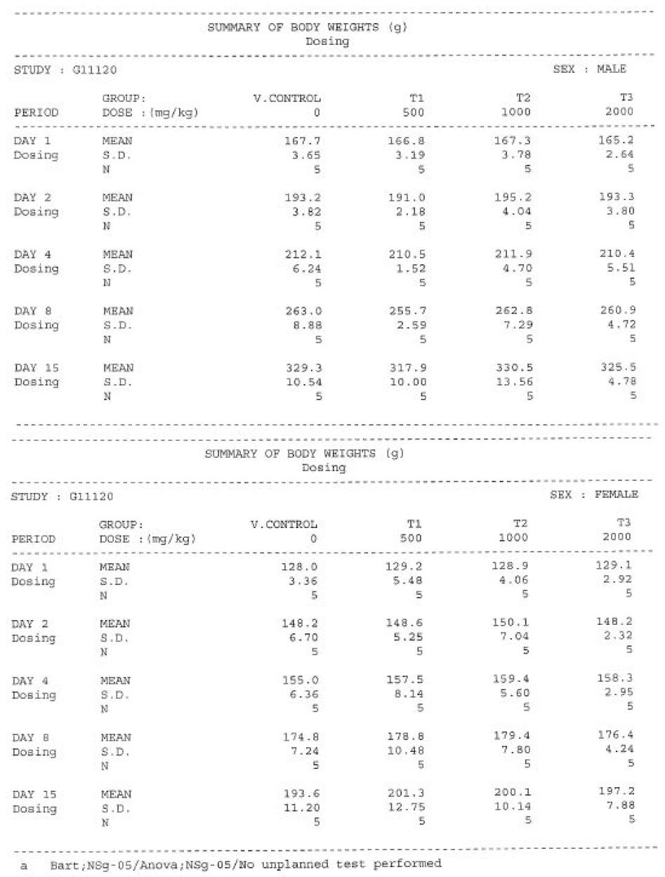 Body Weights (Group Summary)