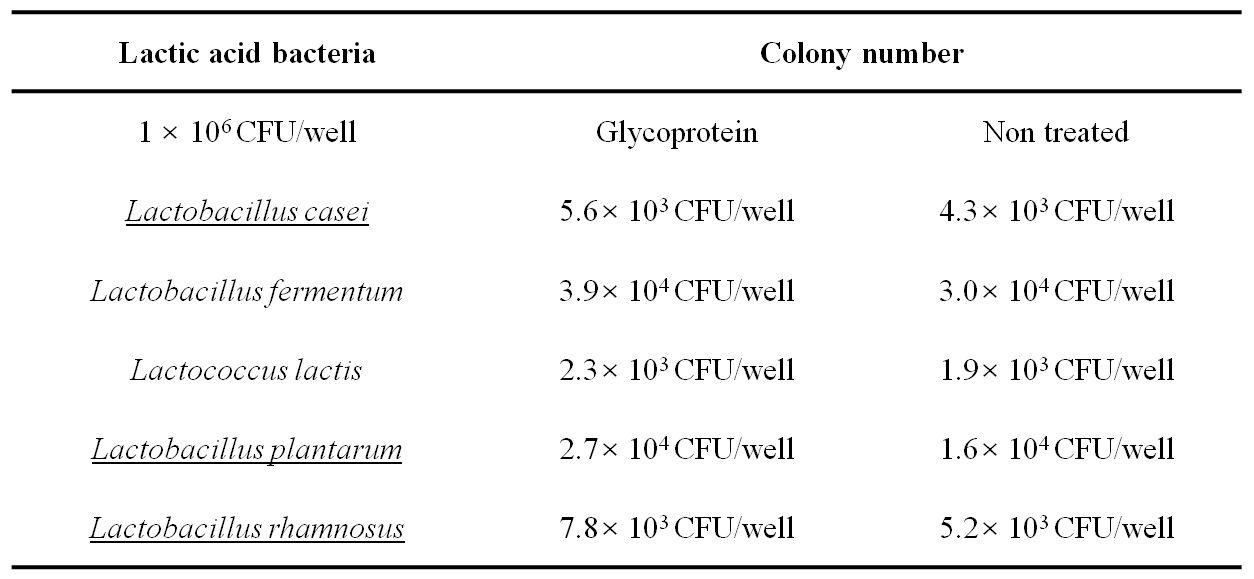 Adhesion of lactic acid bacteria to human intestinal cell line Caco-2under absence or presence of glycoprotein