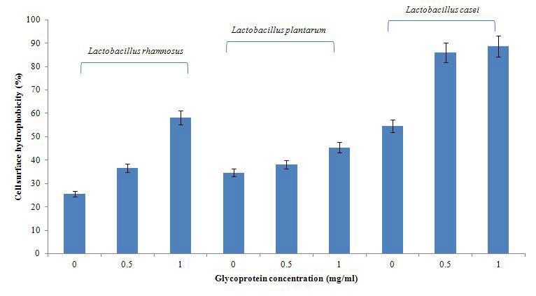 Cell surface hydrophobicity of lactic acid bacteria according toglycoprotein form S. japonica