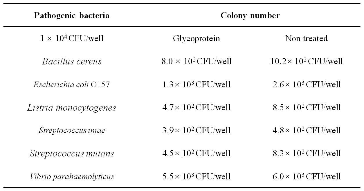 Adhesion of pathogenic bacteria to human intestinal cell lineCaco-2 under absence or presence of glycoprotein