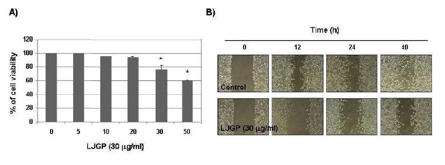 Effects of LJGP on the cell viability and cell migration in AGS humangastric cancer cells