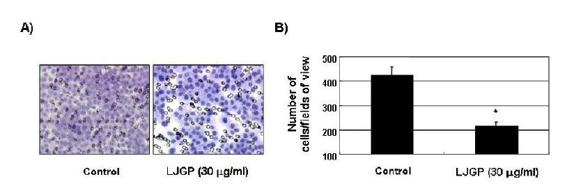 Inhibition of cell invasion by LJGP in AGS human gastric cancer cells