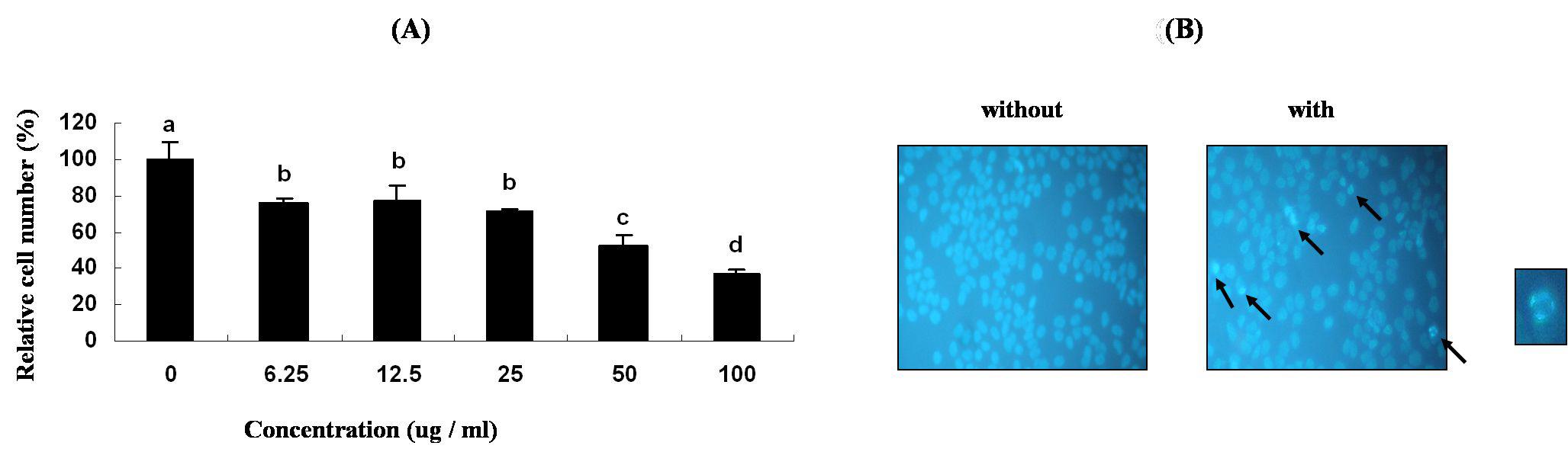 Effects of LJGP on HT-29 cell proliferation