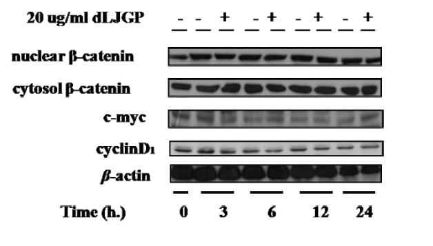 Effect of LJGP on Wnt signaling pathway