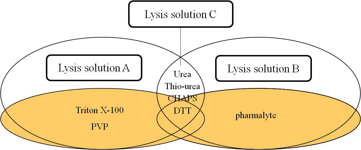 Comperison of Lysis solution A and B