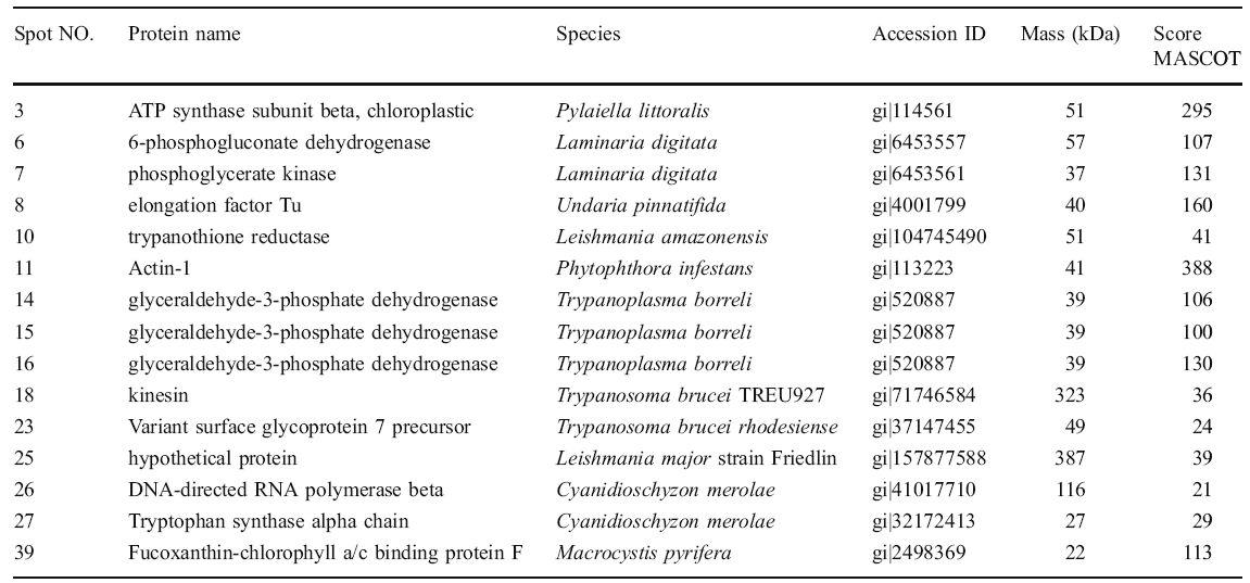 S. japonica proteins identified from the sequence database