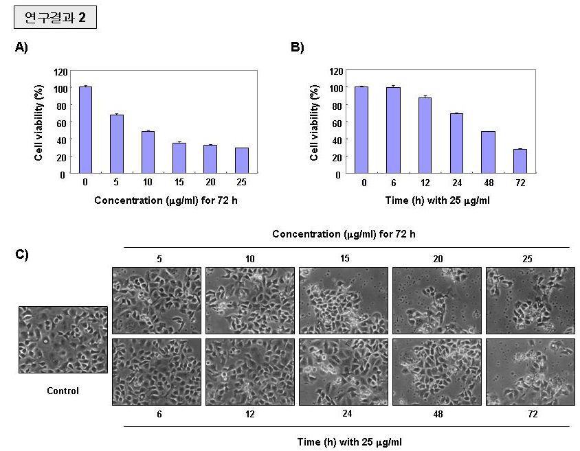 Morphological changes by LJGP in AGS human gastric cancer cells (A)MTT assay and (B) Inverted microscope analysis.