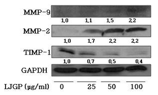 Effects of LJGP on the expression level of MMP-2, MMP-9, and TIMP-1