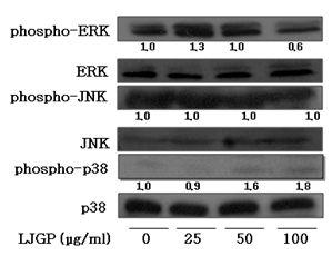 LJGP affects the activities of MAPK