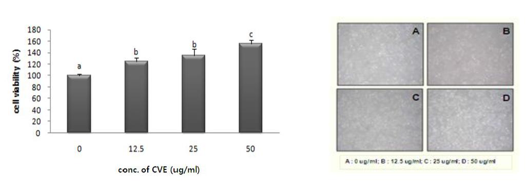 Effects of CVE on IEC-6 cell proliferation*CVE:Chrolella vularis hot water extract