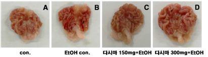 Photograph of rat stomach after treatment EtOH or EtOH+LJGP