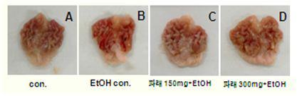 Photograph of rat stomach after treatment EtOH or EtOH+EGP