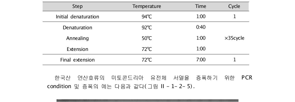 자포동물 미토콘드리아 염기서열 증폭을 위한 PCR 조건