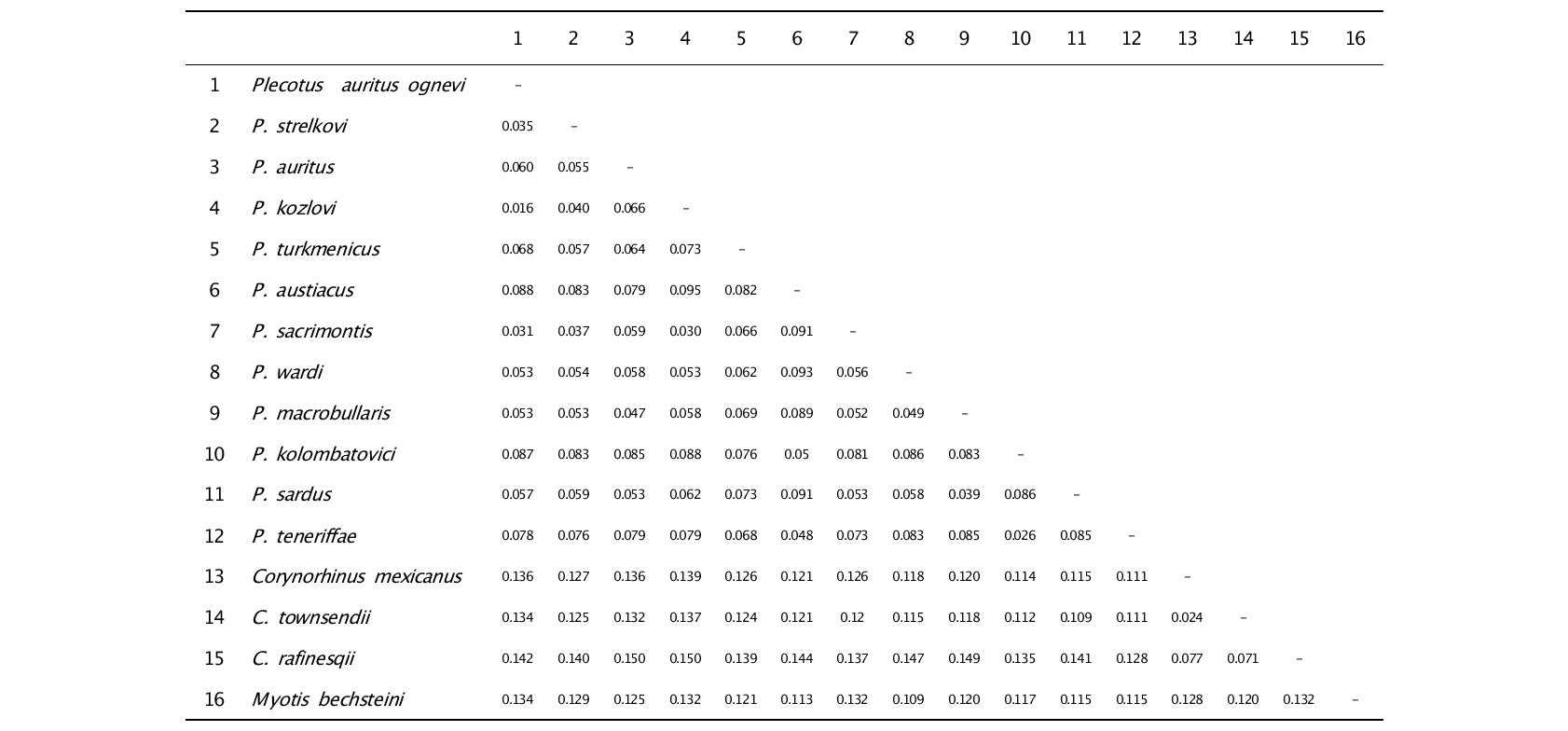 Plecotus 속의 종들과 근연종간의 p-distance