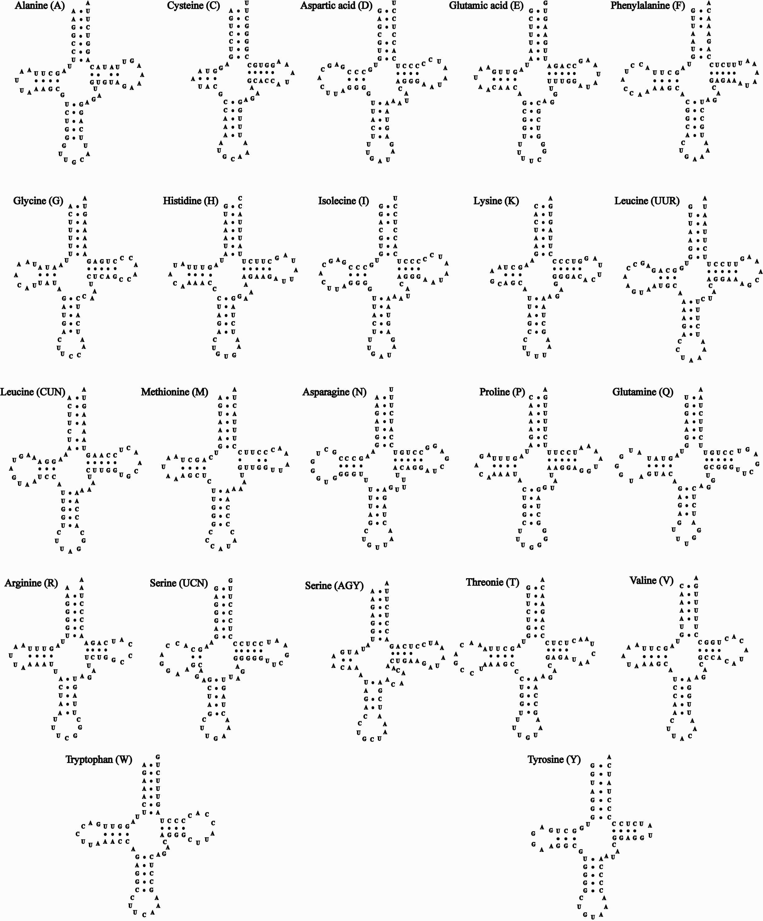 그림 Ⅱ-1-1-28. 표범장지뱀 미토콘드리아 유전체 내에 존재하는 22개의 tRNA이차구조