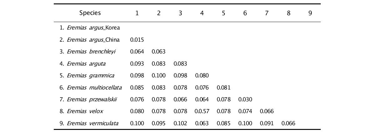 16S rRNA를 이용한 Eremias 속내의 종간 p-distance