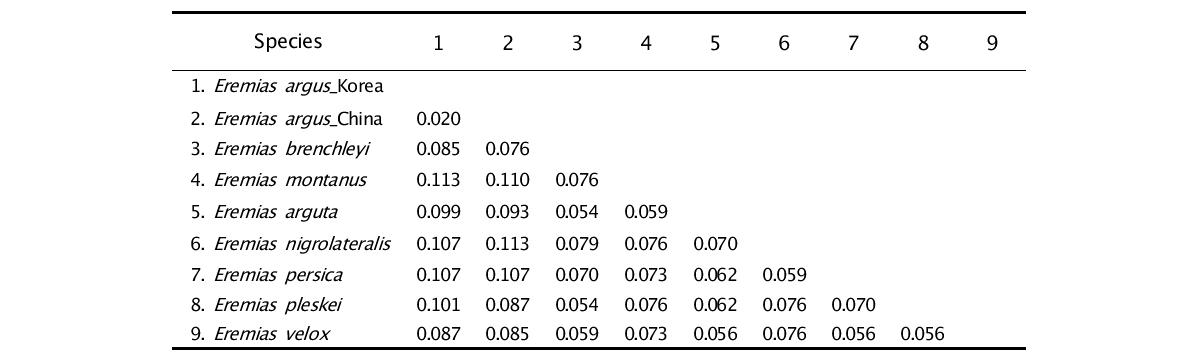 12S rRNA를 이용한 Eremias 속내의 종간 p-distance