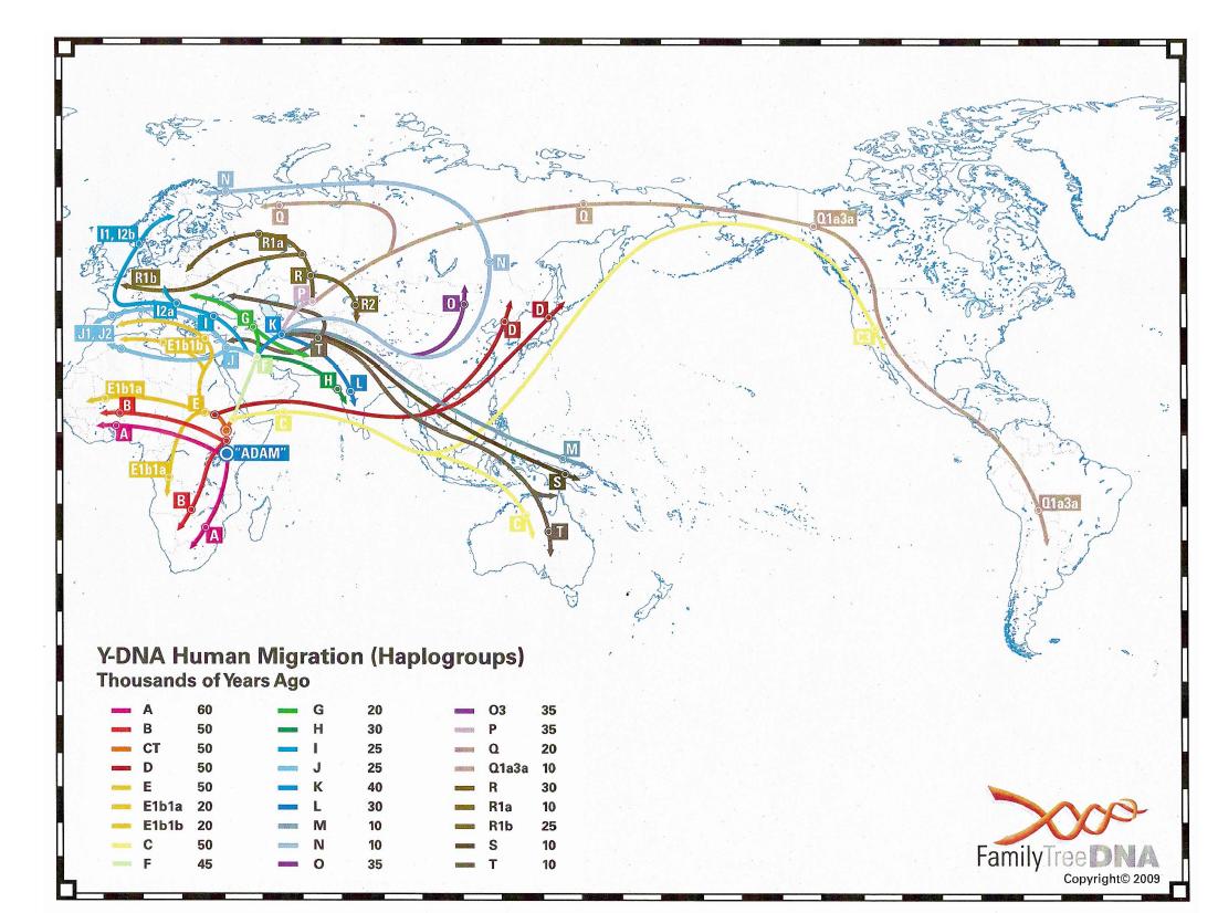 The map of Y-DNA human migration patterns (FamilyTreeDNA, 2009).