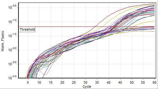 Quantitation data for Cycling A.Green.
