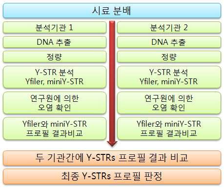 A process for cross-validation of Y-STRs.