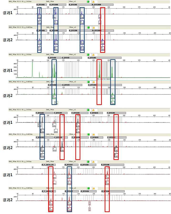 Cross-validation of each AmpFlSTR Yfiler profiles..