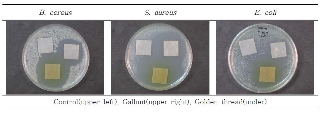 Antimicrobial activity of dyed Hanji