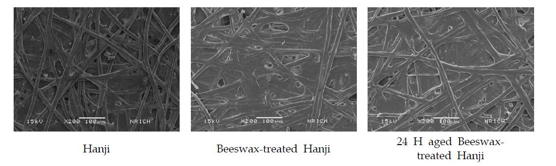 SEM images of Hanji, beeswax-treated Hanji, 24 hours aged beeswax-treated Hanji (×200).