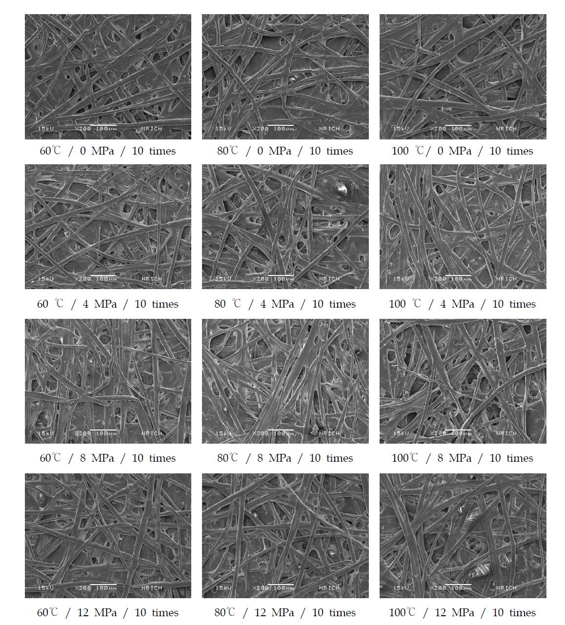 SEM images of beeswax-treated Hanji according to the dewaxing times under different heat-pressure sensitive conditions (×200).