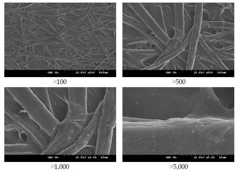 FE-SEM images of CMC treated aged Hanji (0 hr).