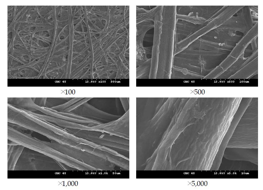 FE-SEM images of CMC treated aged Hanji (48 hr).