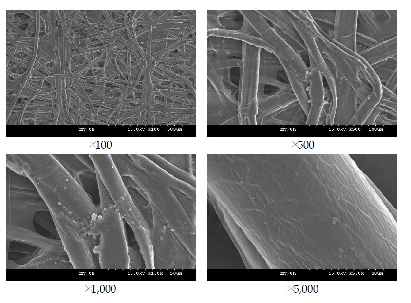 FE-SEM images of MC treated aged Hanji (0 hr).