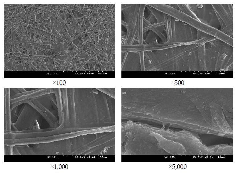 FE-SEM images of MC treated aged Hanji (12 hr).