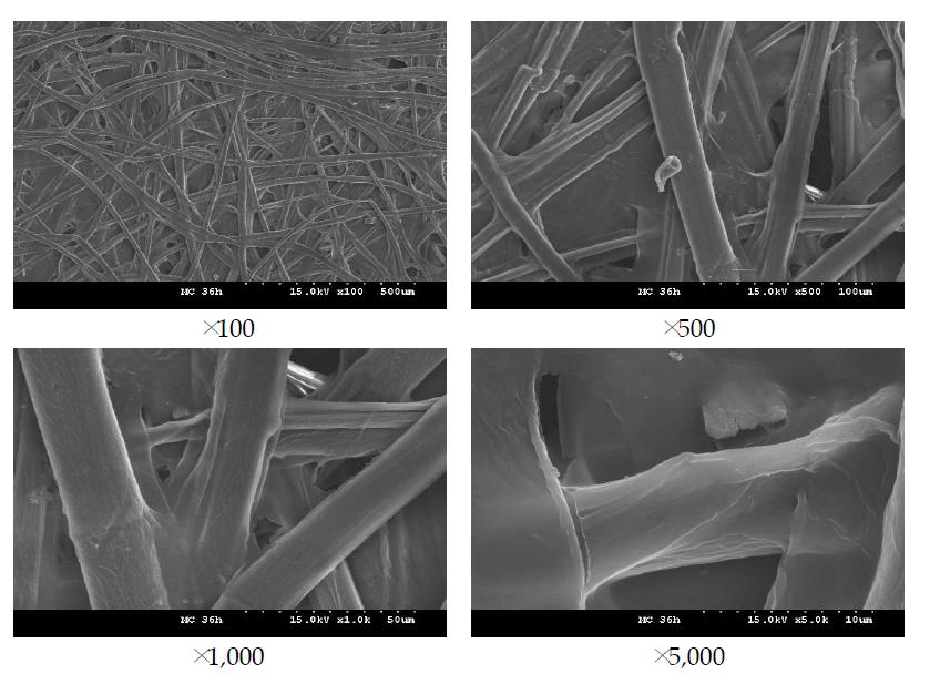 FE-SEM images of MC treated aged Hanji (36 hr).