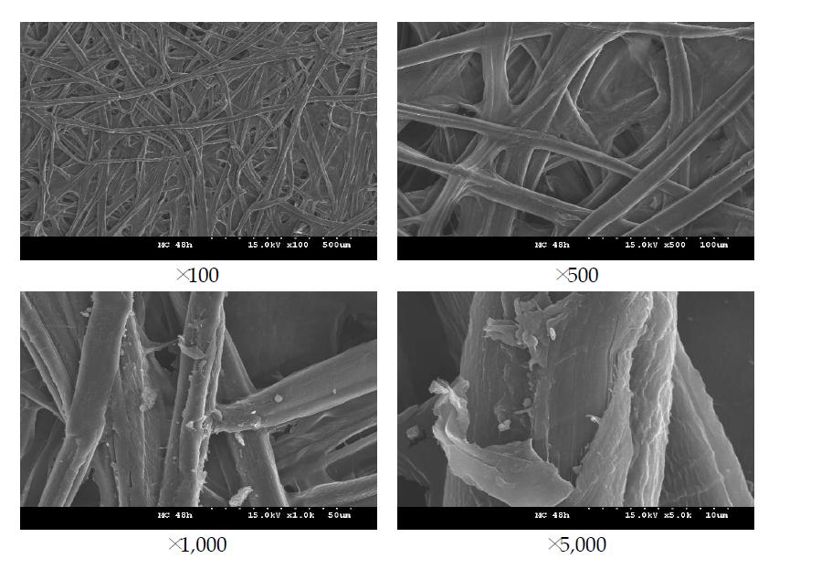 FE-SEM images of MC treated aged Hanji (48 hr).