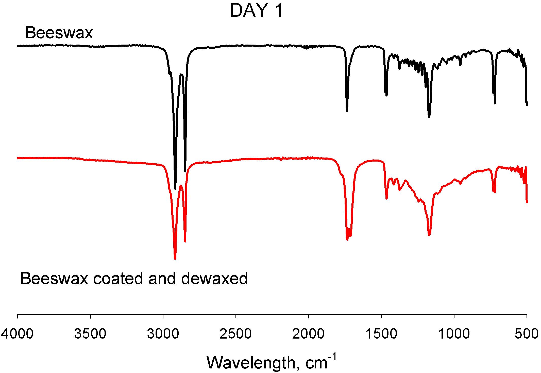 Comparison of IR spectra of beeswax and dewaxed Hanji aged at 150℃ for 1 day.