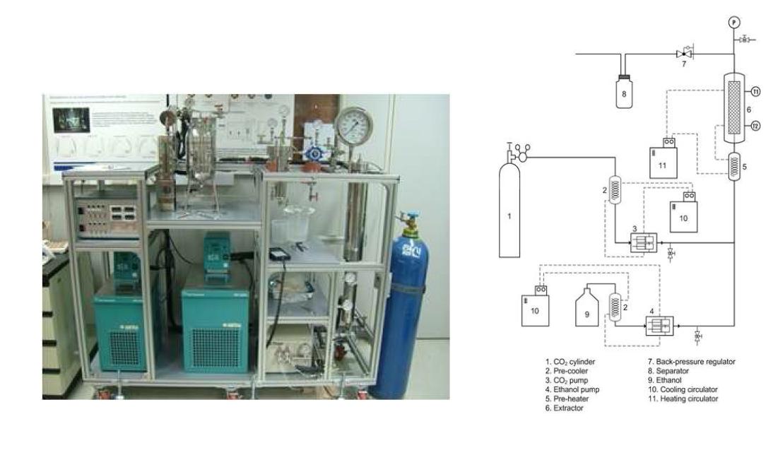 Supercritical carbon dioxide extraction apparatus.