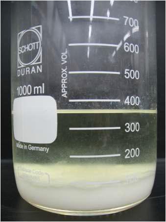 Extracted solution by SFE using ethanol as a co-solvent.