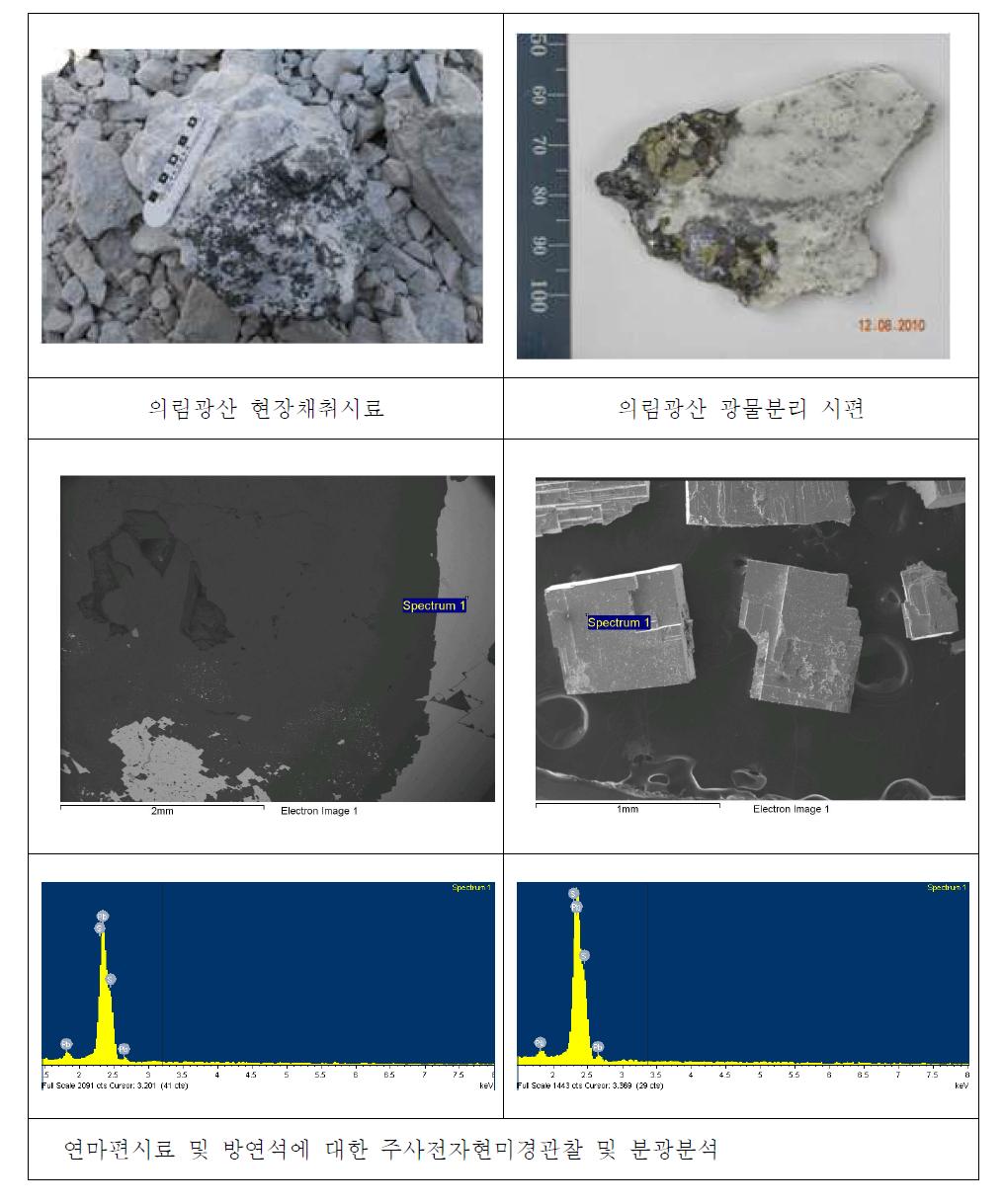 의림광산 광석시료 및 연마편 시료의 주사전자현미경관찰 및 분광분석