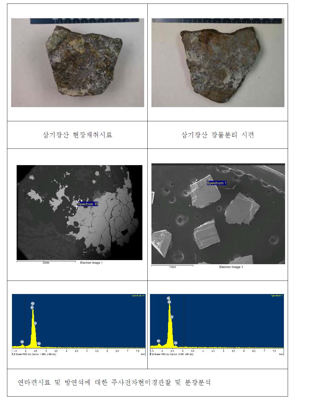 삼기광산 연마편 시료와 방연석의 전자현미경관찰 및 분광분석