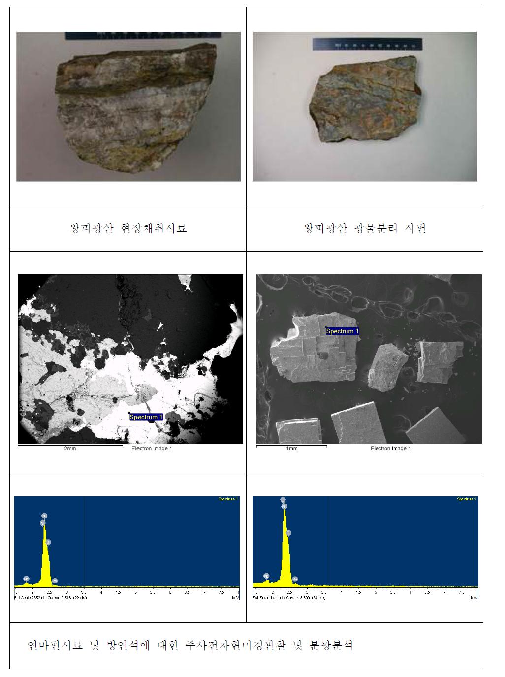 왕피광산 연마편시료 및 방연석시료의 주사전자현미경관찰 및 분광분석