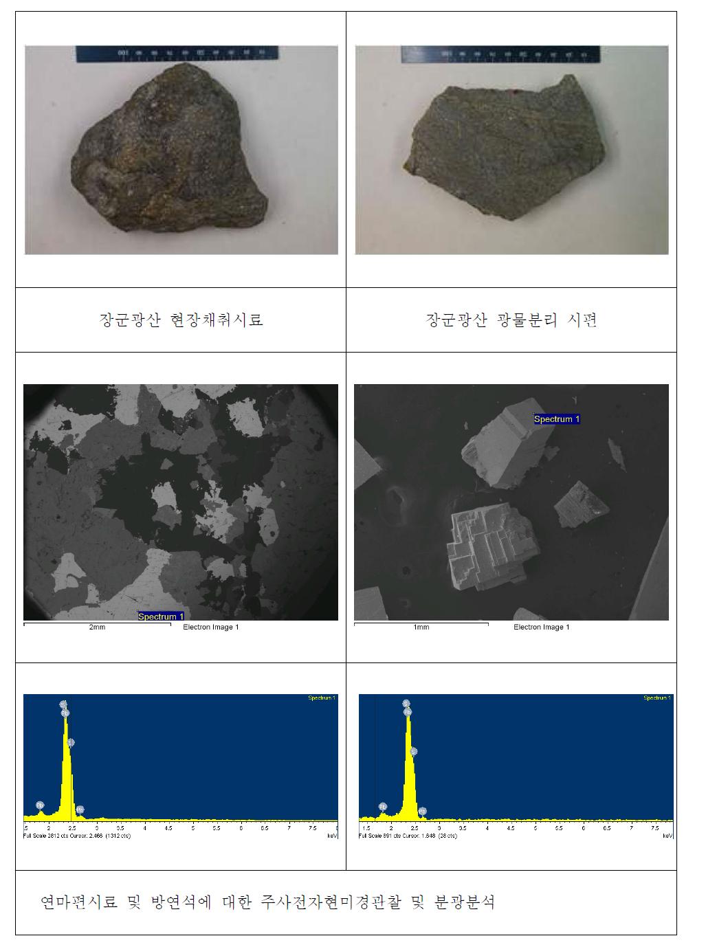 장군광산 연마편시료 및 방연석시료의 주사전자현미경관찰 및 분광분석