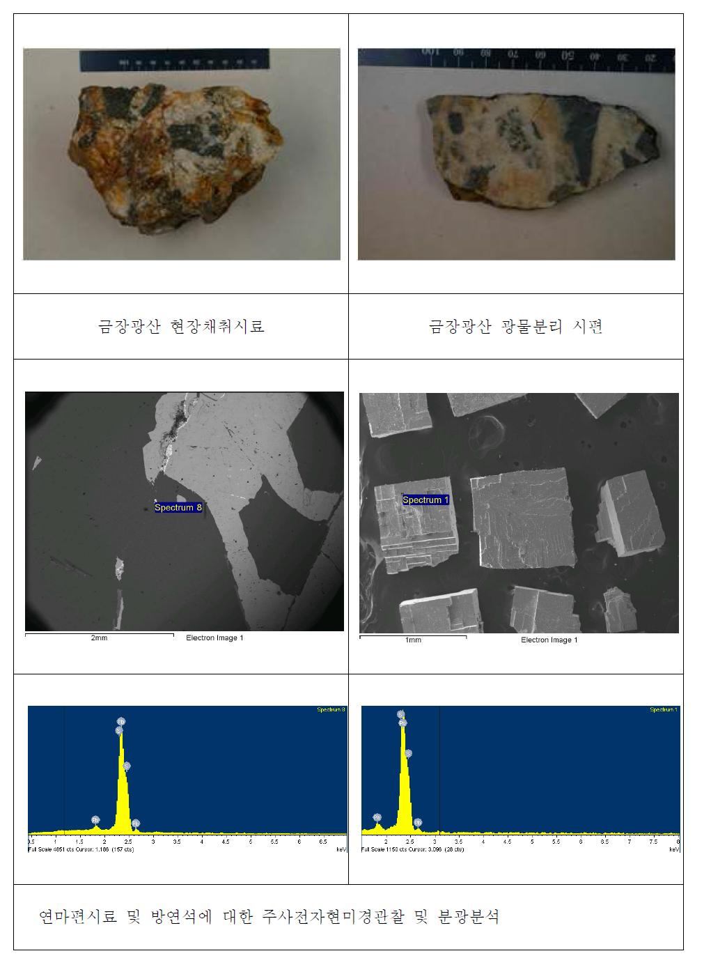 금장광산 연마편시료 및 방연석시료의 주사전자현미경관찰 및 분광분석