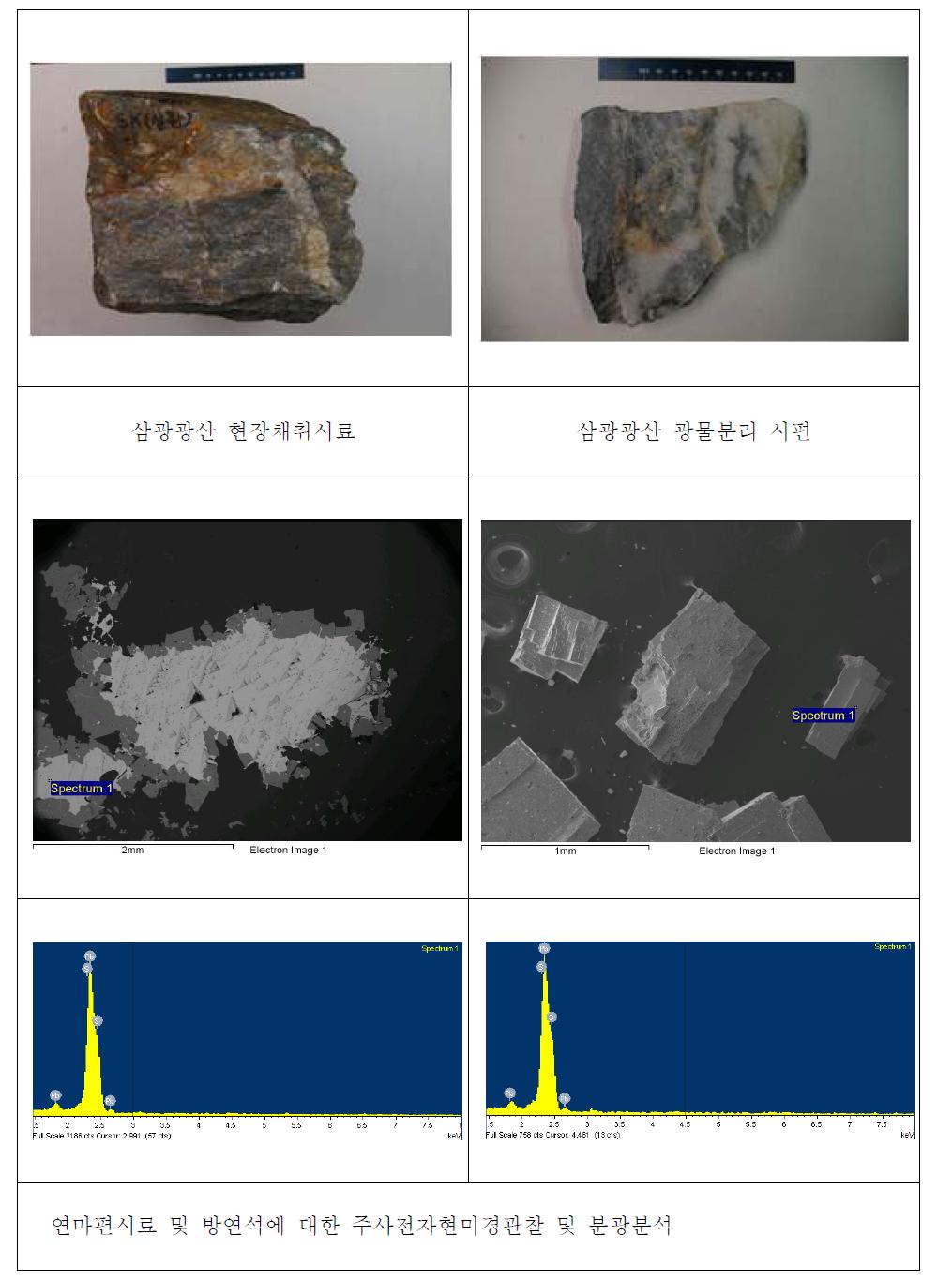 삼광광산 연마편시료 및 방연석시료의 주사전자현미경관찰 및 분광분석